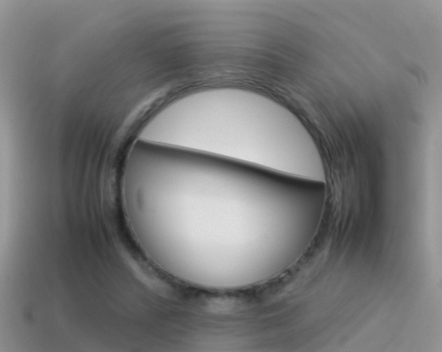 X0000115500400200911061026