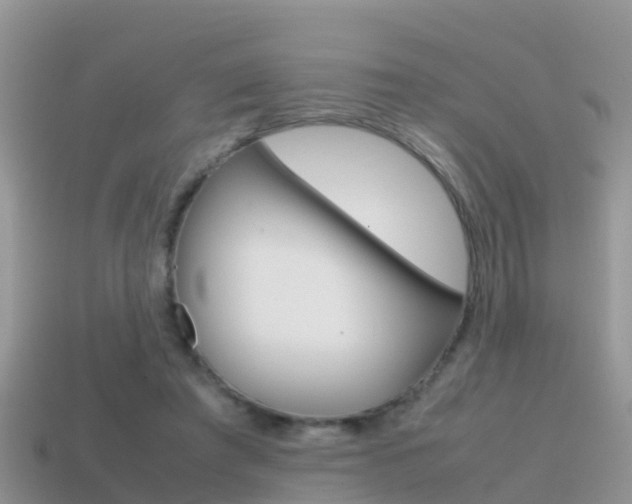 X0000115500401200911061026