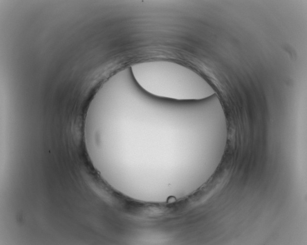 X0000115500402200911061026