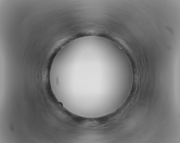 X0000115500403200911061026