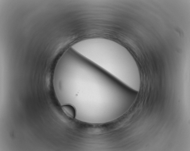 X0000115500404200911061026
