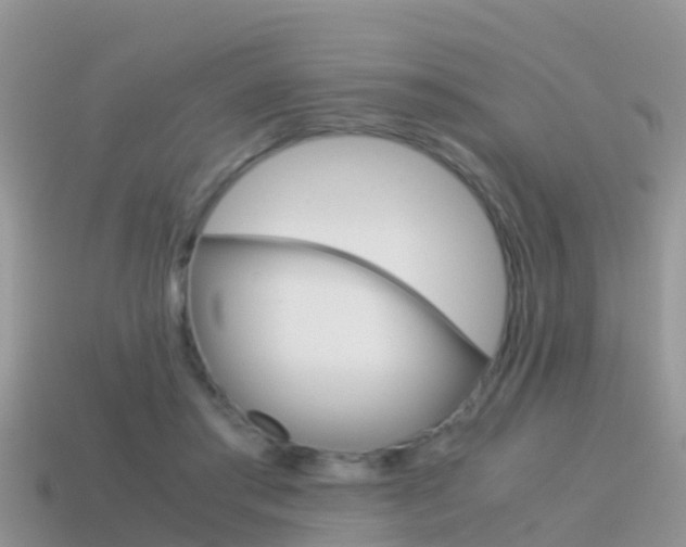 X0000115500405200911061026