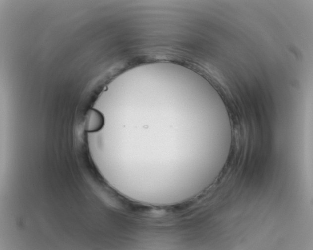 X0000115500406200911061026
