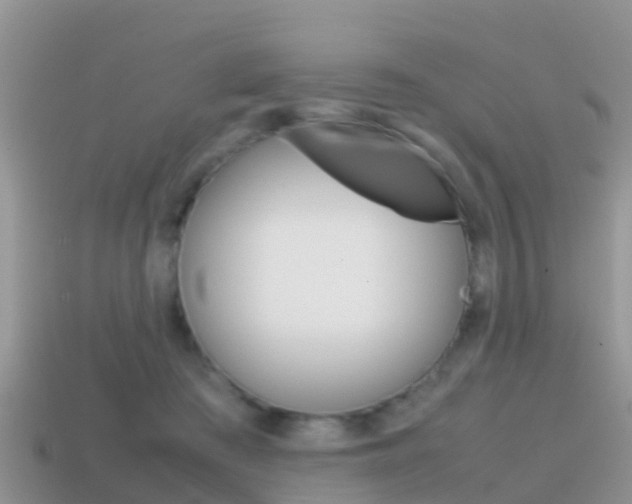 X0000115500409200911061026