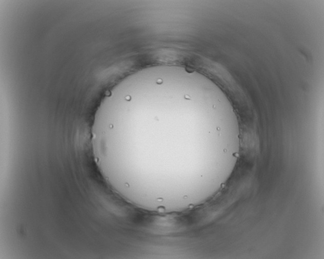 X0000115500411200911061026