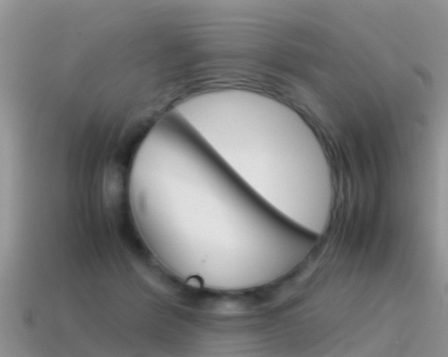 X0000115500412200911061026
