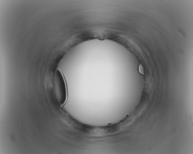 X0000115500413200911061026