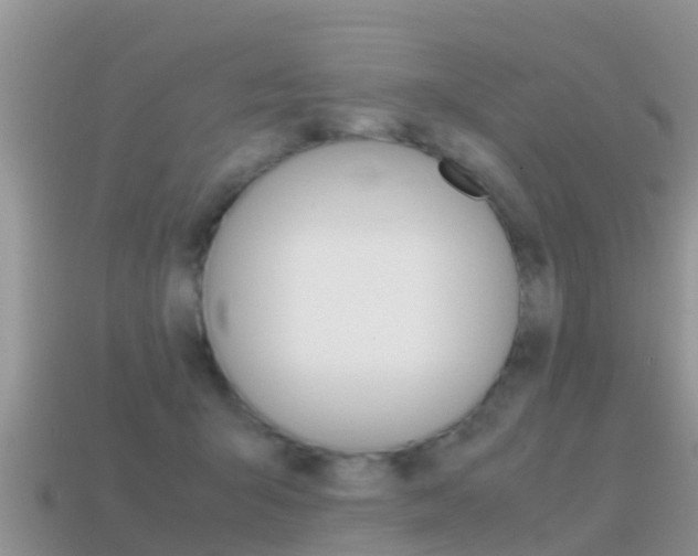 X0000115500415200911061026