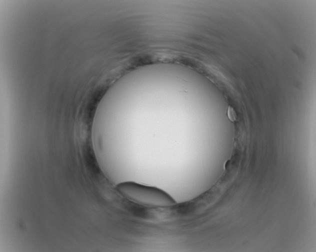 X0000115500417200911061026