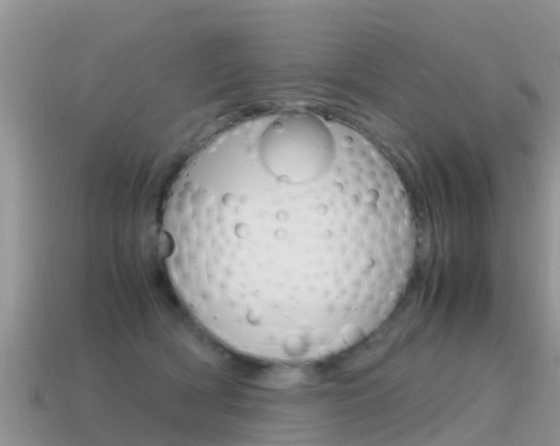 X0000115500418200911061026