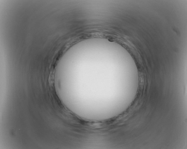 X0000115500419200911061026