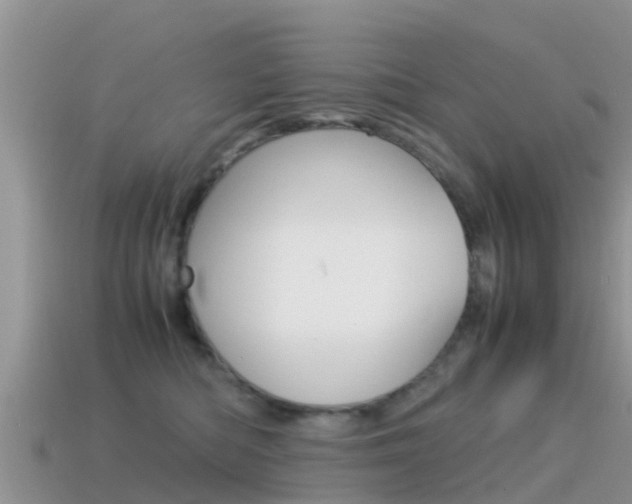 X0000115500422200911061026