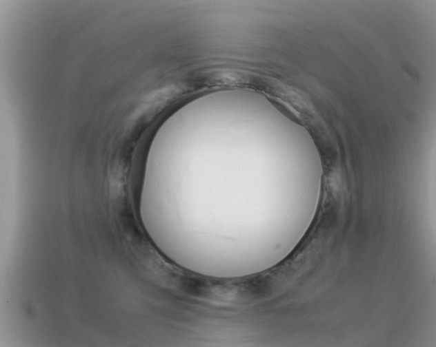 X0000115500423200911061026