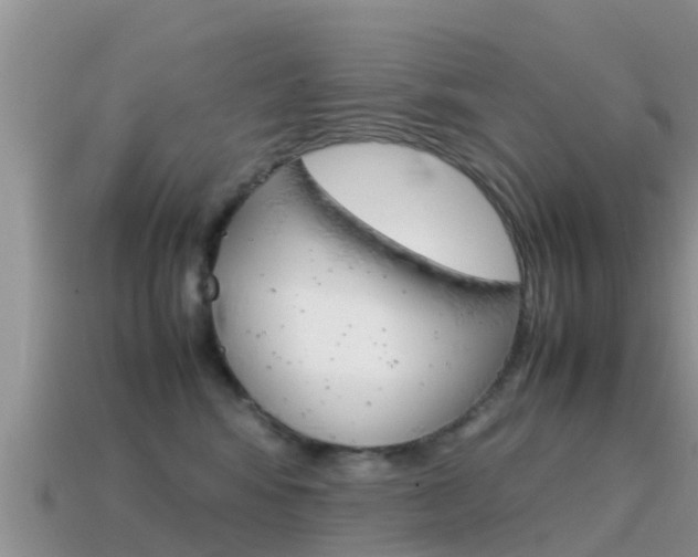 X0000115500424200911061026