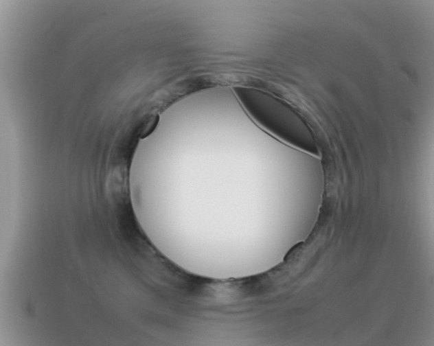 X0000115500425200911061026