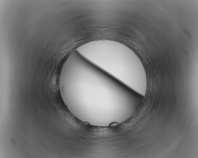 X0000115500428200911061026
