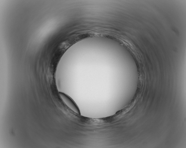 X0000115500429200911061026