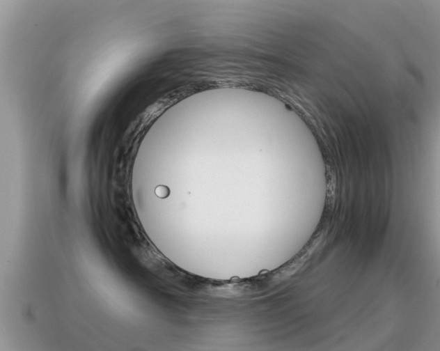 X0000115500430200911061026