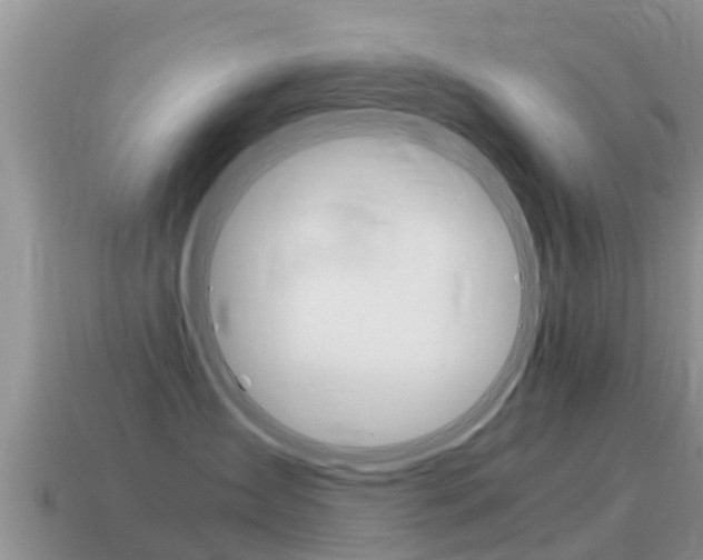 X0000115500431200911061026