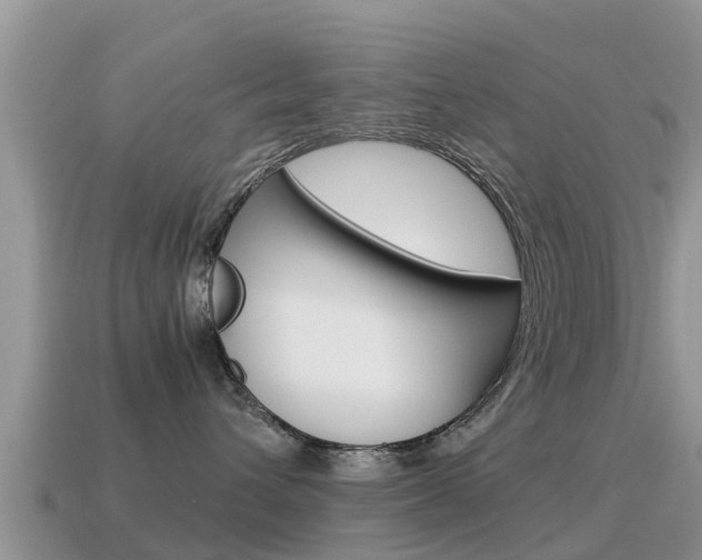 X0000115500432200911061026