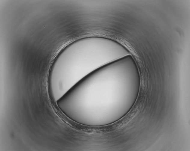 X0000115500434200911061025