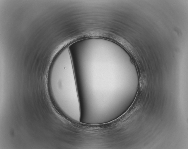 X0000115500438200911061025