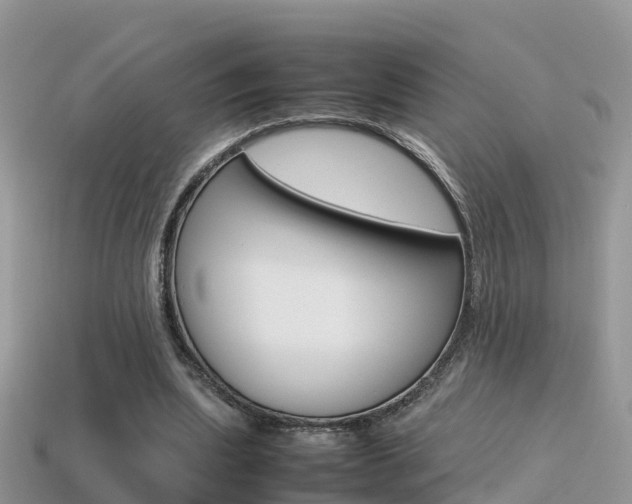 X0000115500439200911061025
