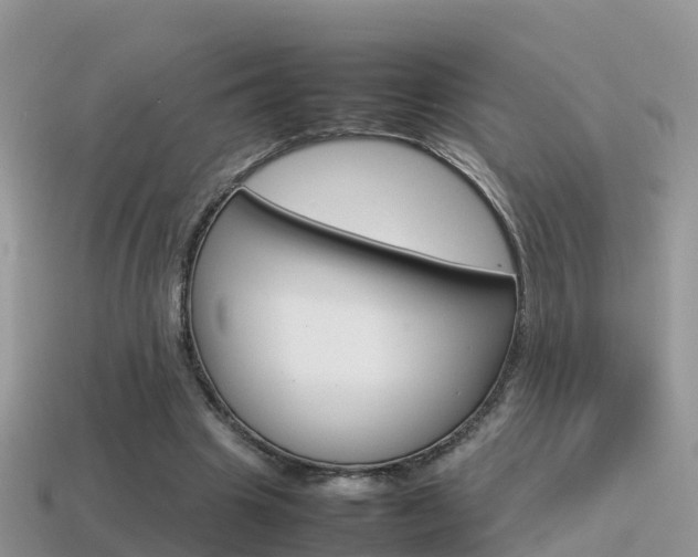 X0000115500441200911061025