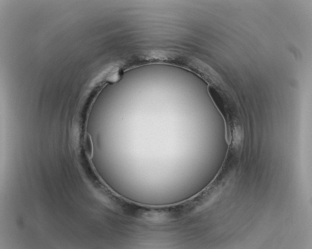 X0000115500444200911061025