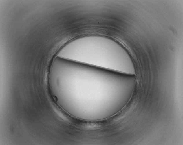 X0000115500445200911061025