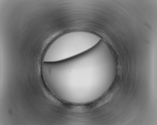 X0000115500446200911061025