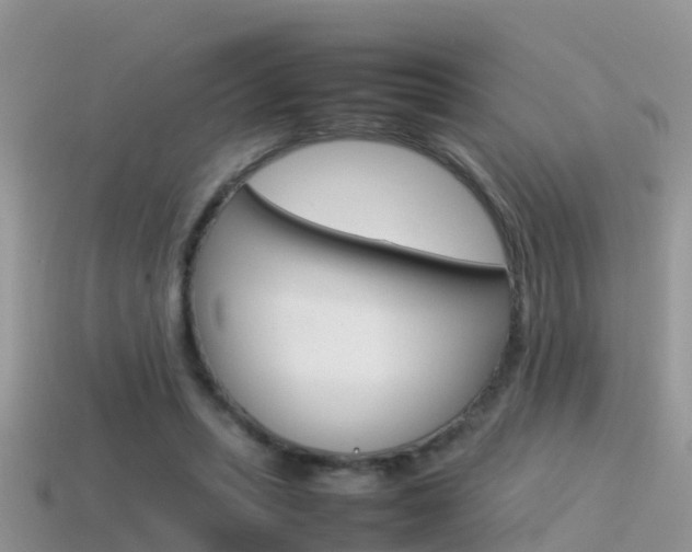 X0000115500447200911061025