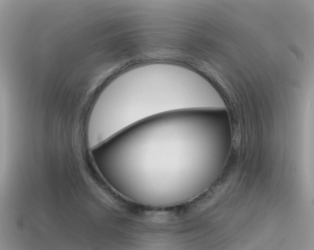 X0000115500448200911061025
