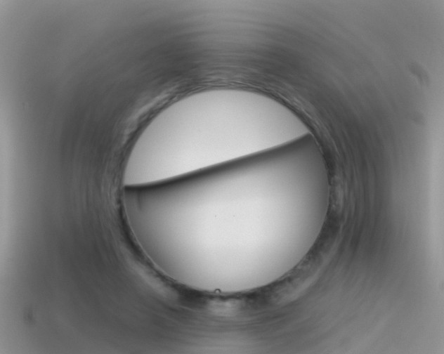 X0000115500450200911061025