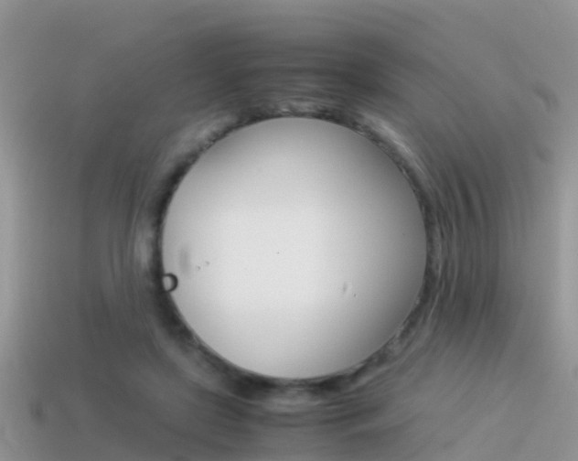 X0000115500451200911061025