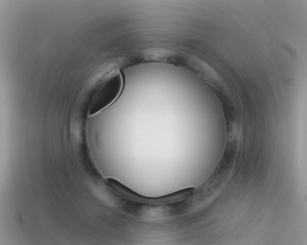 X0000115500452200911061025