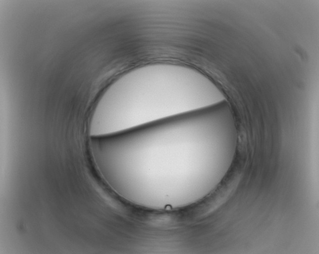 X0000115500454200911061026
