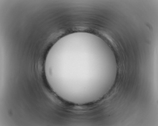 X0000115500455200911061026