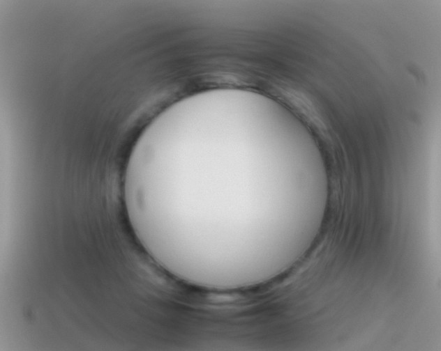 X0000115500457200911061026