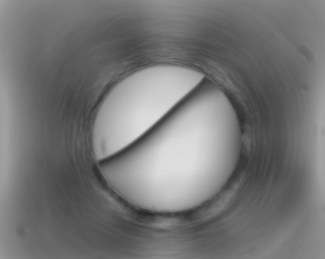 X0000115500458200911061026