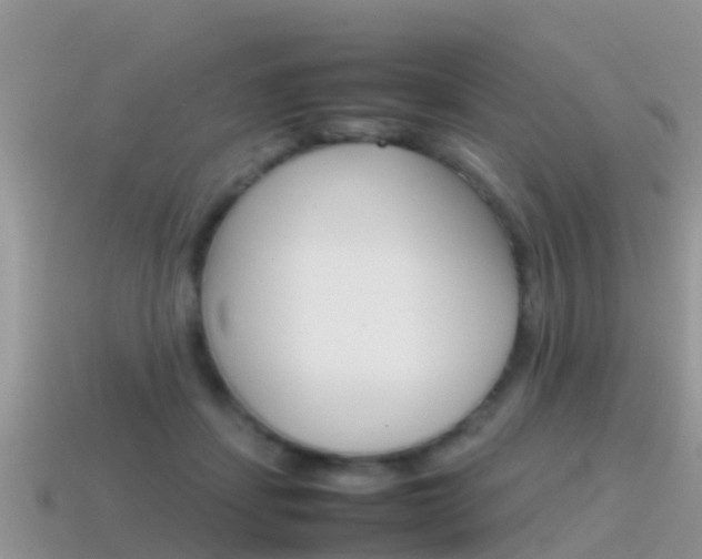 X0000115500459200911061026