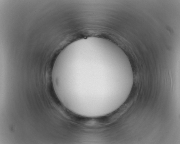 X0000115500460200911061026
