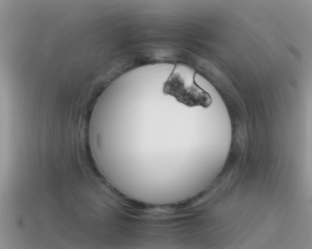 X0000115500461200911061026