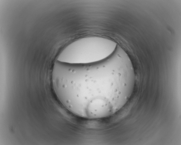 X0000115500462200911061026