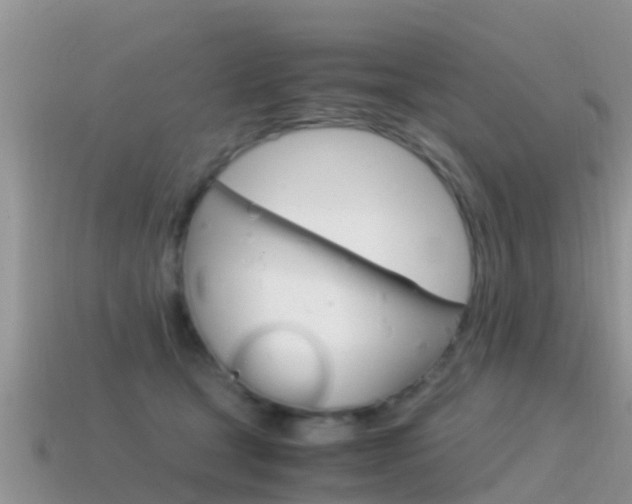 X0000115500465200911061026