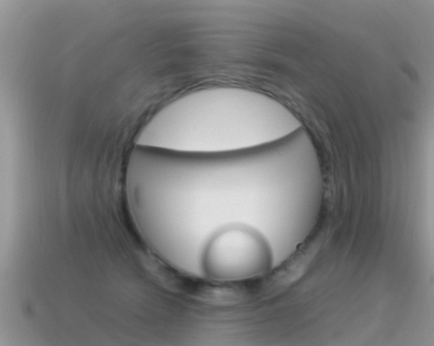 X0000115500466200911061026