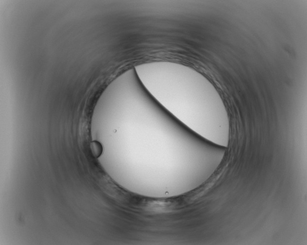 X0000115500473200911061026