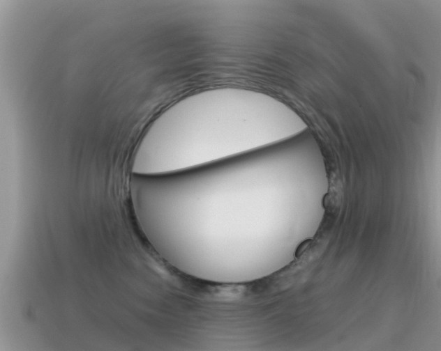 X0000115500474200911061026