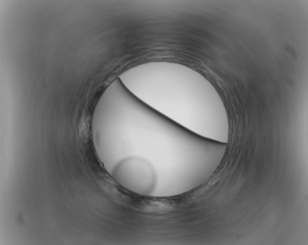 X0000115500475200911061026