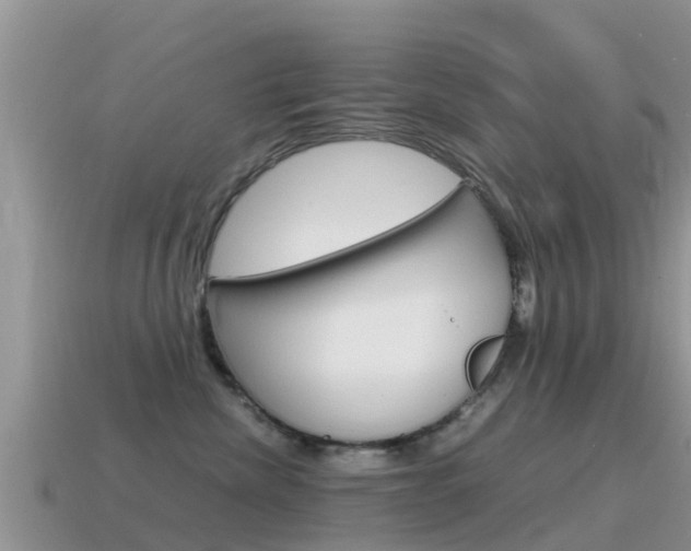 X0000115500476200911061026